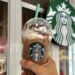 Starbucks deixa de usar sistema de IA após erros